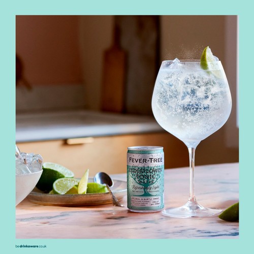 Fever-Tree Light Elderflower Tonic Cans