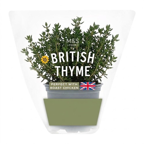 M&S British Thyme Pot