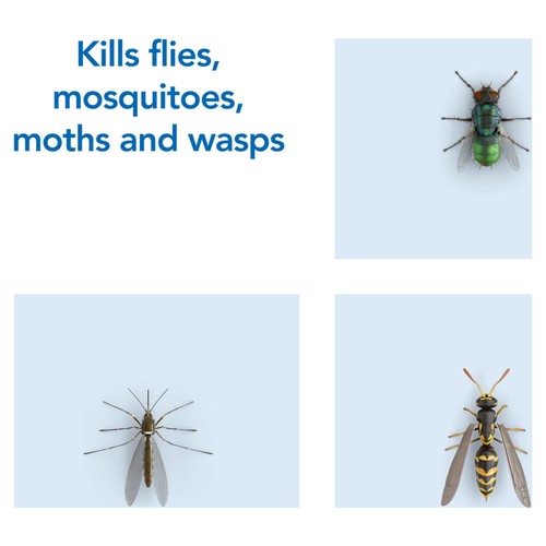Raid Rapid Action Fly & Wasp Killer