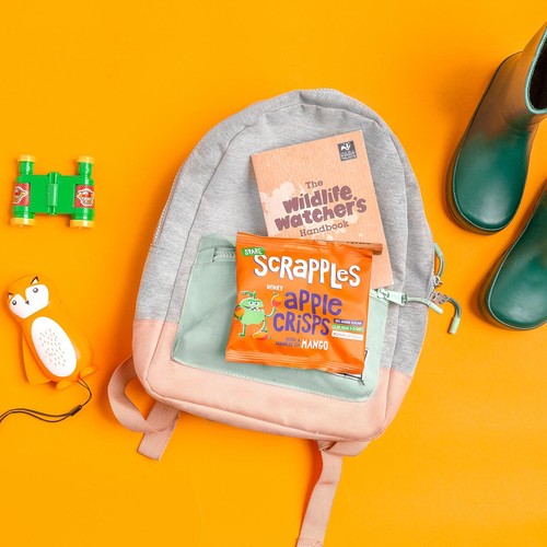 Scrapples Apple & Mango Fruit Crisps