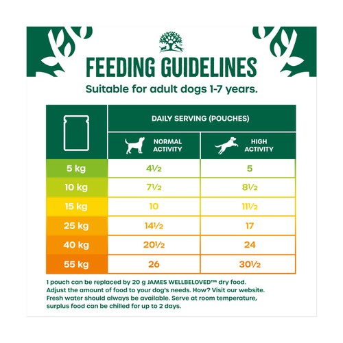 James Wellbeloved Adult Wet Dog Food Turkey & Rice Mega Pack Pouch 48x90g