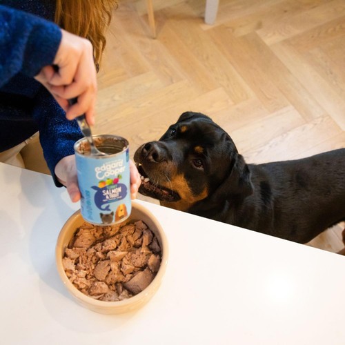 Edgard & Cooper Senior Grain Free Wet Dog Food with Chicken & Salmon