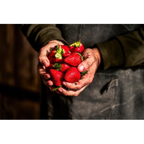 M&S King Strawberries
