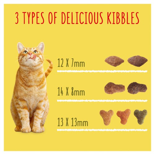 Go-Cat Chicken and Turkey Dry Cat Food