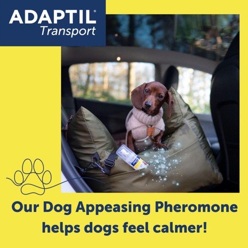 Adaptil Dog Calming Spray for Stress & Anxiety