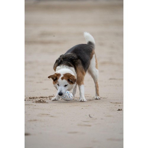 Petface Outdoor Paws Mighty Rugby Ball Dog Toy