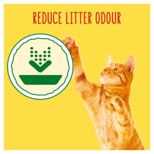 Go-Cat Indoor Chicken Dry Cat Food