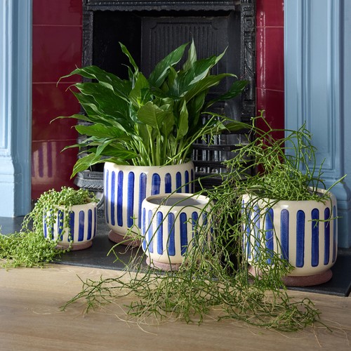 Burgon & Ball Collectors Indoor Pot 16cm Blue Stripe