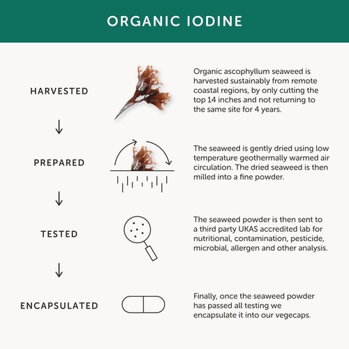 Together Health Iodine - Organic Seaweed Source
