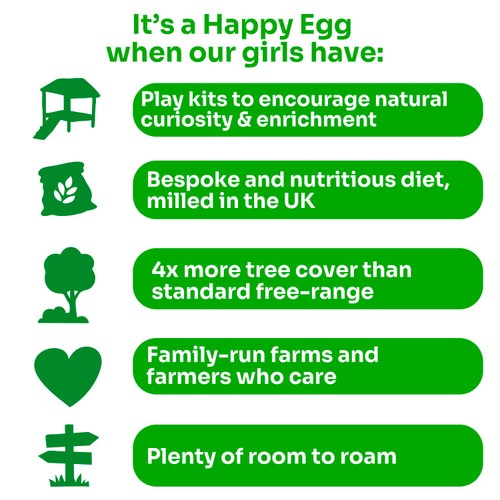 Happy Egg Co. Large 6 Pack