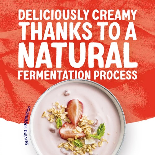 Alpro Mixed Fruit Dairy Free Soya Yoghurt Alternative