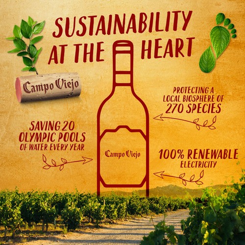 Gran Campo Viejo Cava Brut 