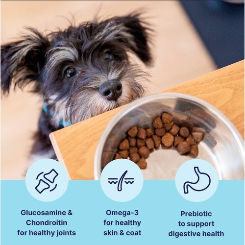 Tails.com Inner Vitality Toy & Small Adult Dog Dry Food Chicken