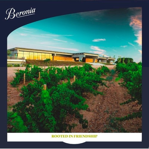Beronia Verdejo Rueda