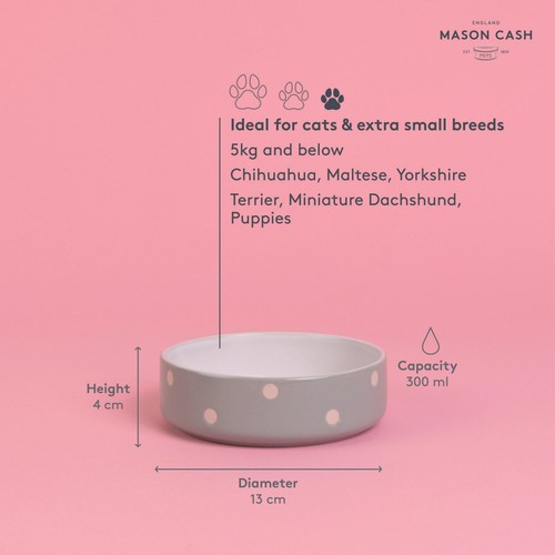 Mason Cash Polka Dot Sage 13cm Pet Bowl