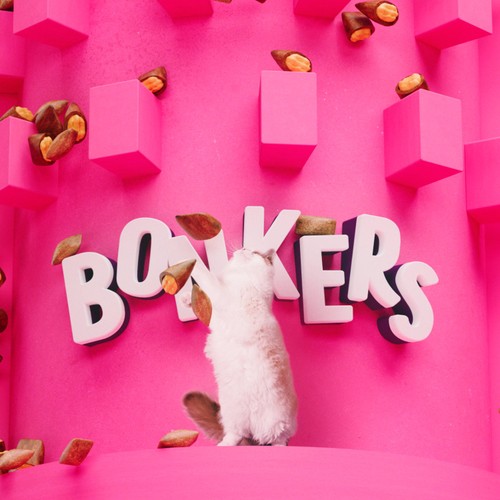BONKERS Cat Bites, Crunchy & Soft Salmon Supreme Flavoured Cat Treats