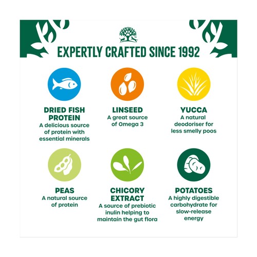 James Wellbeloved Grain Free Adult Dry Dog Food Fish & Veg