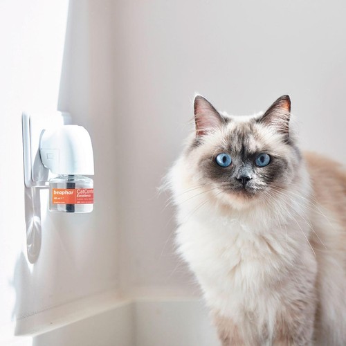 Beaphar CatComfort Excellence Calming Diffuser for Cats, Starter Pack
