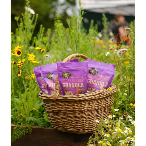 Natures Path Organic Berry Granola