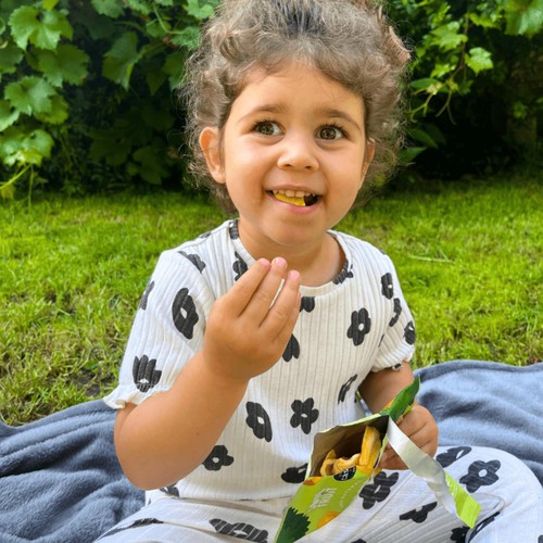 Soul Fruit Freeze Dried Jackfruit Crisps