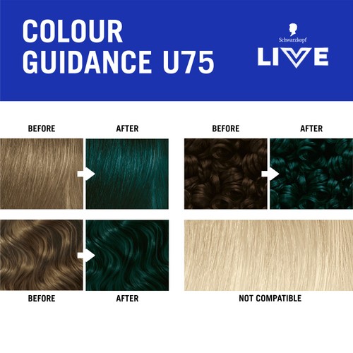 LIVE Intense Colour U75 Midnight Jade