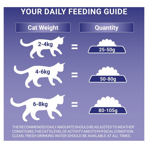 Purina One Senior 7+ Chicken Dry Cat Food