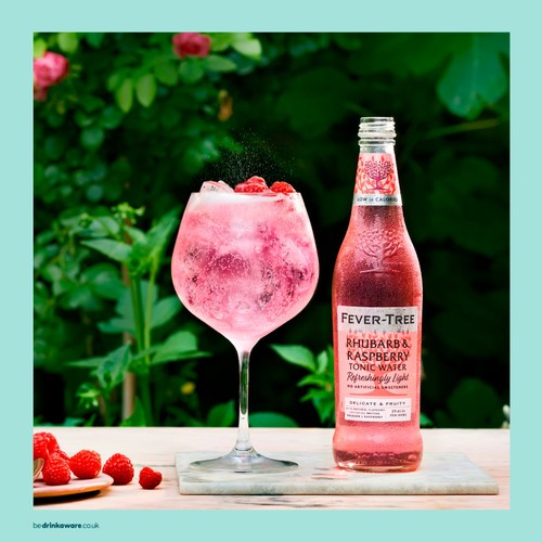 Fever-Tree Light Rhubarb & Raspberry Tonic 