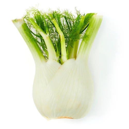 Natoora Italian Large Fennel