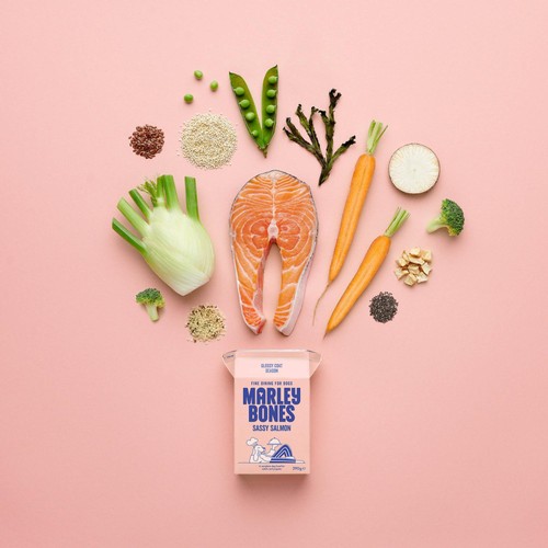 Marleybones Wet Dog Food - Salmon & Superfoods