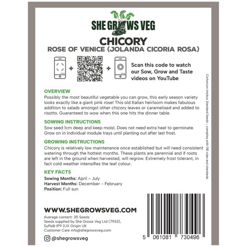 She Grows Veg Chicory Rose of Venice Seeds