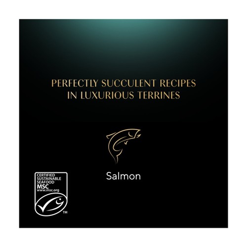 Sheba Classics Cat Tray with MSC Salmon in Terrine
