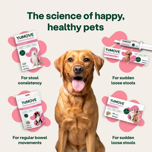 YuMOVE Digestive Support Rapid Powder for Dogs & Cats