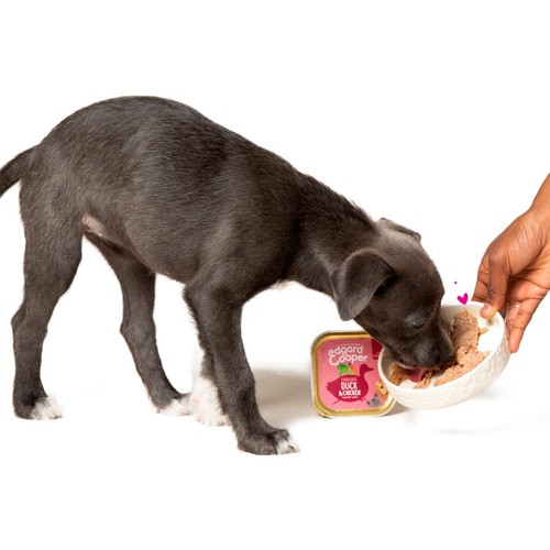 Edgard & Cooper Puppy Grain Free Wet Dog Food with Duck & Chicken