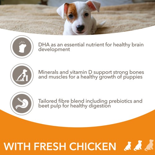 IAMS Advanced Nutrition Puppy Food Small/Medium Breed with Fresh Chicken