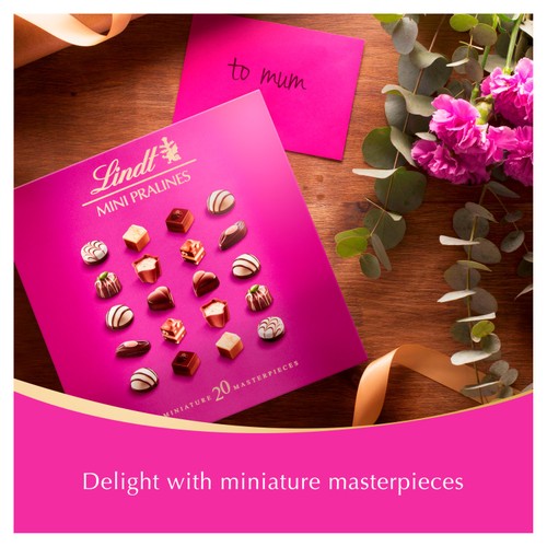 Lindt Mini Pralines Selection