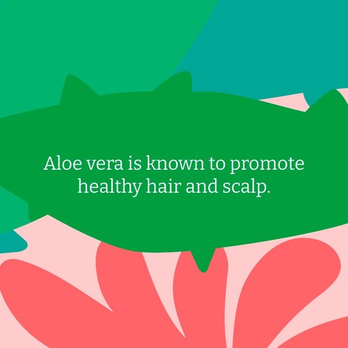 Faith in Nature Aloe Vera Conditioner