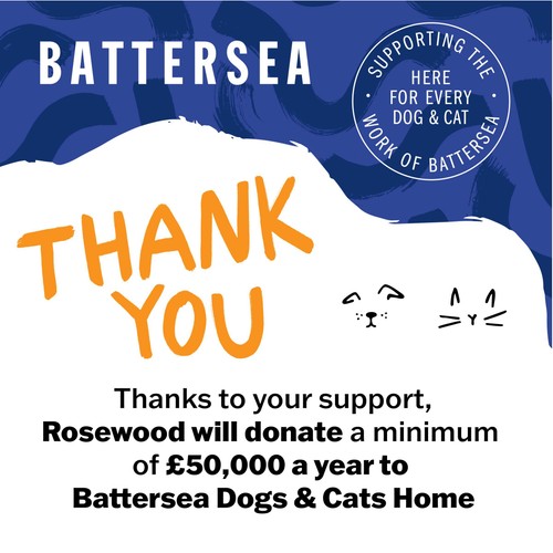 Battersea Anti-Hairball Chicken Cushions