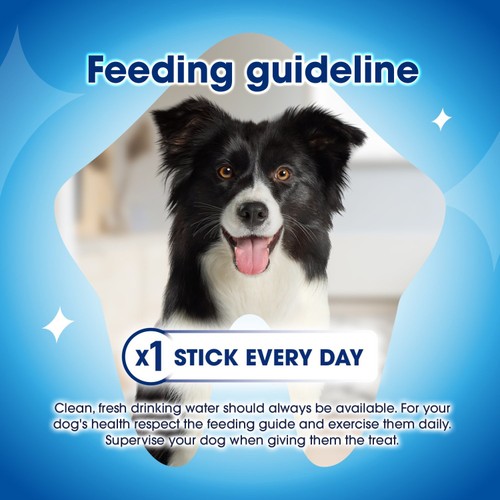 Dentalife Large Dental Chicken Dog Chews