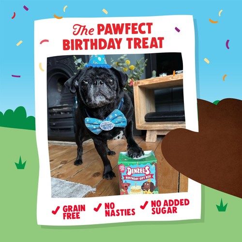 Denzel's Birthday Gift Box of Dog Treats