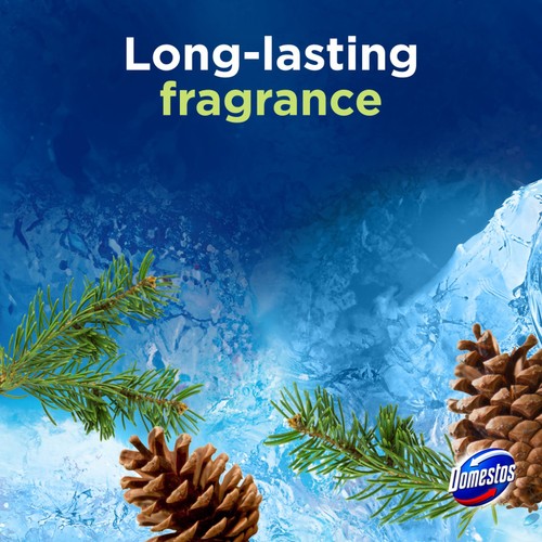 Domestos Rim Block Pine