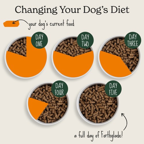 Forthglade Cold Pressed Dry Dog Food Duck with Sweet Potato