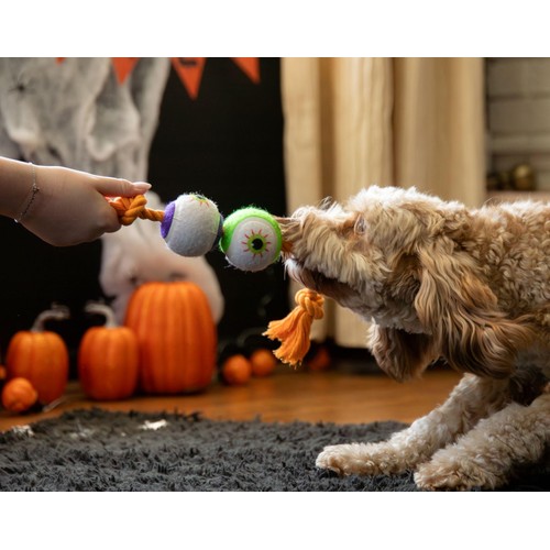 Spirit & Spook Goofy Eyes Rope Dog Toy
