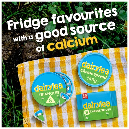 Dairylea 8 Cheese Slices