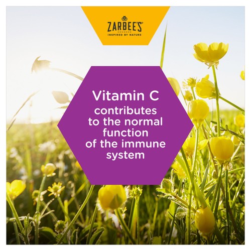 Zarbee's Cooling Throat and Immune Support Lozenge