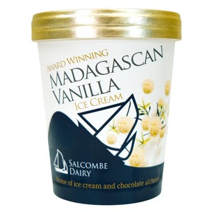 Salcombe Dairy Honeycomb Ice Cream