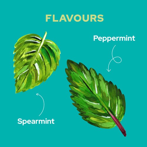 Yorkshire Tea Soothe Peppermint & Spearmint Herbal Tea Bags