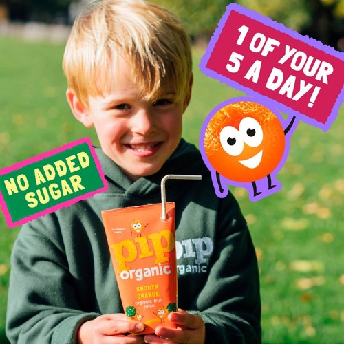 Pip Organic Kids Smooth Orange Juice