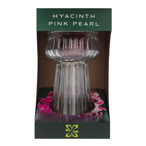 M&S Hyacinth Bulb Vase