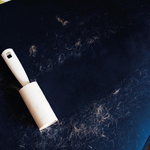 Korbond Lint Roller - 49 Sheets