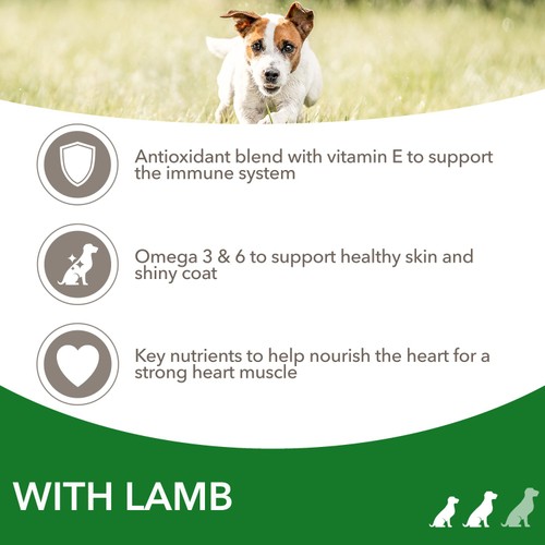 IAMS Advanced Nutrition Adult Dog Food Small/Medium Breed With Lamb